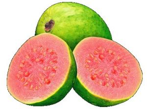 Guava Pulp