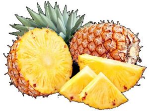 Pineapple Pulp