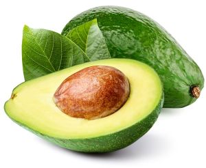 Fresh Avocado