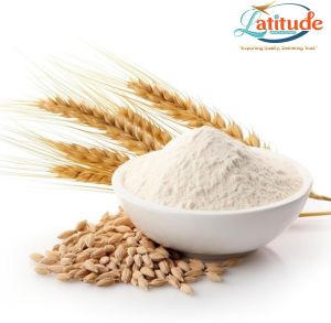 Wheat Flour