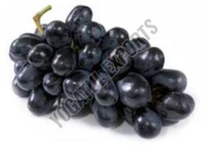 Seedless Black Grapes