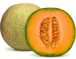 Muskmelon