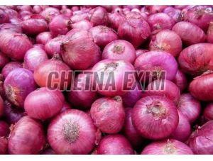 Fresh Red Onion