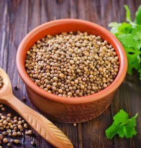 Coriander Seeds