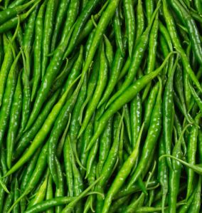 Fresh Green Chilli