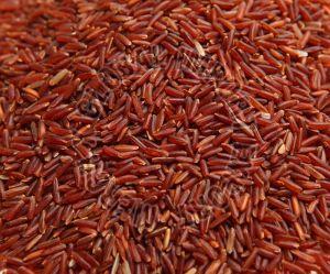 Organic Red Rice