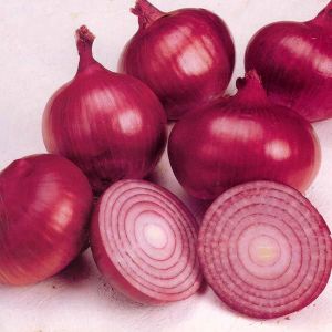 Fresh Red Onion