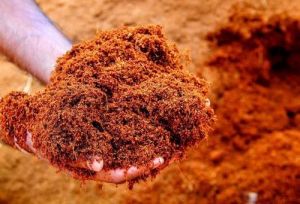 coco peat powder