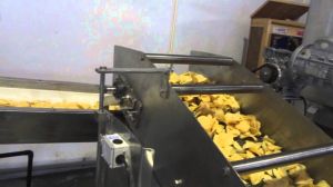 Automatic Potato Chips Plant