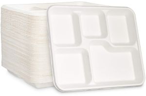 Bagasse Meal Tray