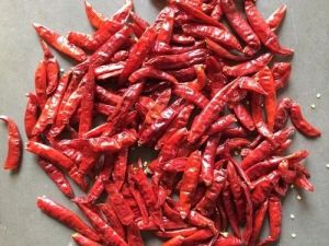 Dry Red Chilli