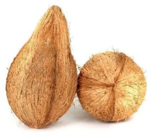 Husked Coconut