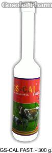 GS Cal Fast Oral Ionic Calcium Gel