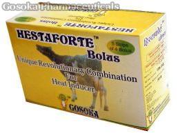 Hestaforte Bolus