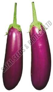 F1-Billu Brinjal Seeds