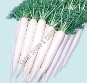 F1-Bond Radish Seeds