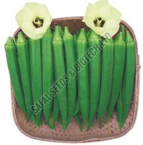 F1- Deepika lady finger seeds