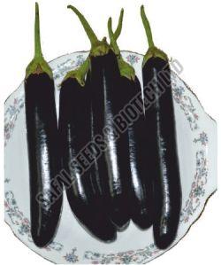 F1-Disha Brinjal Seeds