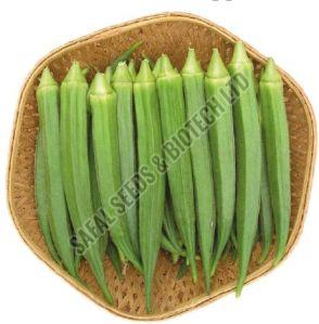 F1-Divya Lady Finger Seeds