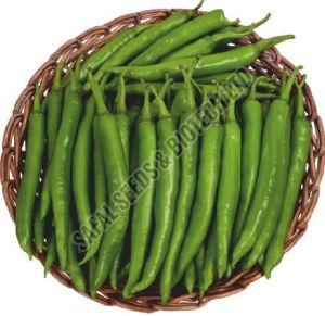F1-Kareena Chilli Seeds