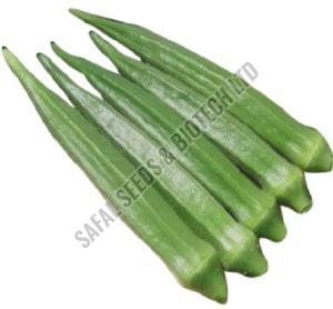 F1- Samrudhi Lady Finger Seeds