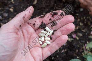 Open Pollinated Seeds