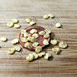 Sweet Pepper Seeds