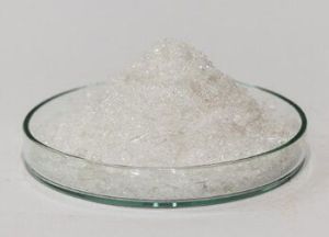 Lead Acetate