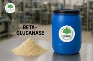 Beta Glucanase Enzyme