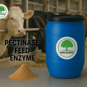 Multi Enzymes for Cattle Feed