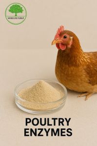 Phytase Enzyme for Poultry