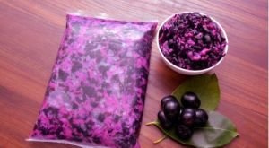Frozen Jamun Slices