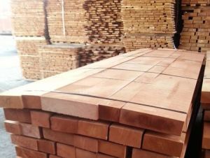 Teak Lumber