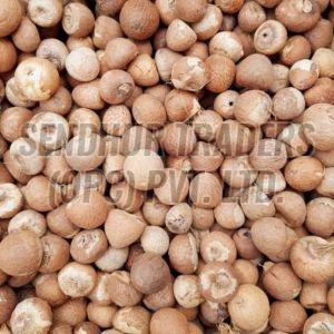 Betel Nuts