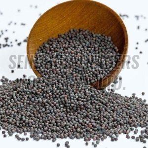 Black Mustard Seeds