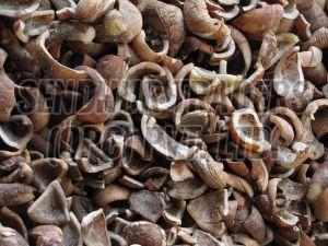 Dry Coconut Copra