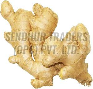 Fresh Ginger Green