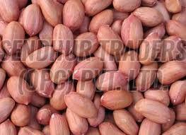 Groundnut Seeds