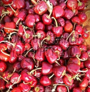 Guntur Mundu Dried Red Chilli