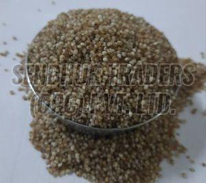 Kodo Millet
