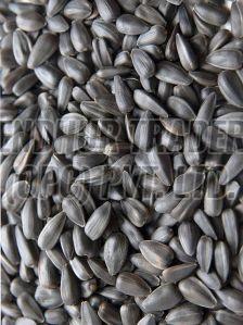 Sunflower Seeds