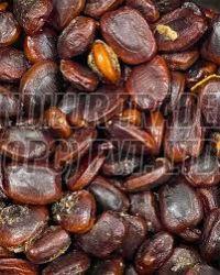 Tamarind Seeds