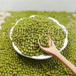 Whole Green Gram