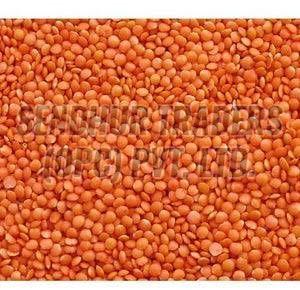 Whole Masoor Dal