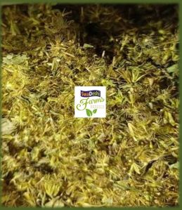 Stevia Seeds