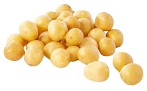 A Grade Baby Potato