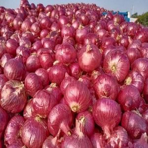 A Grade Fresh Red Onion