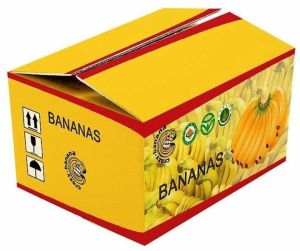 5 Ply Flexo Printed Corrugated Boxes