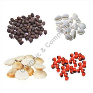 Gunja Seed
