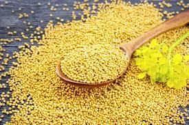 Yellow Mustard Seeds